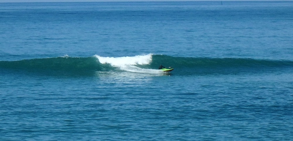 p7090038.jpg